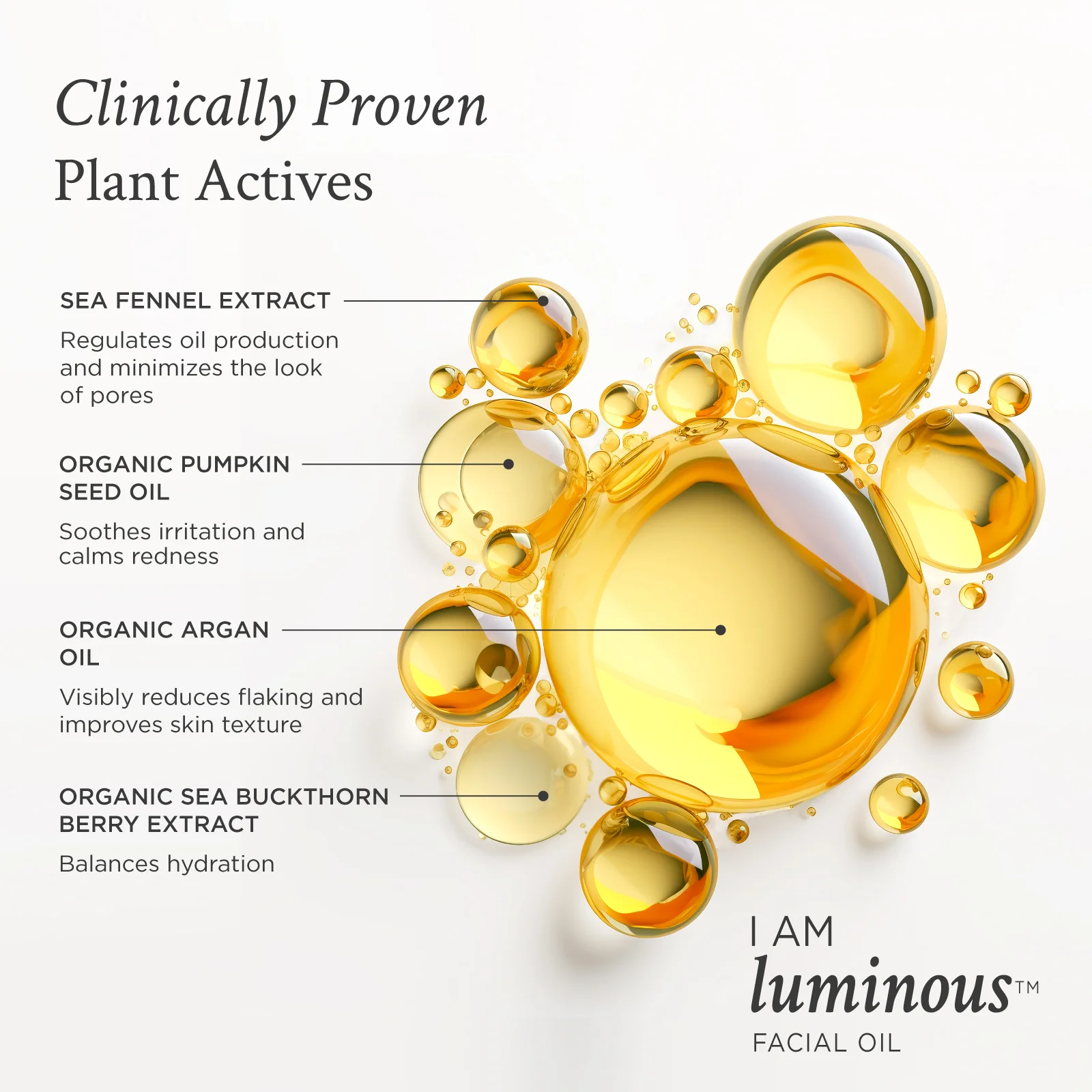 I AM Luminous® Facial Oil - Image 3